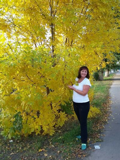  ,   , 62 ,   ,   , c 