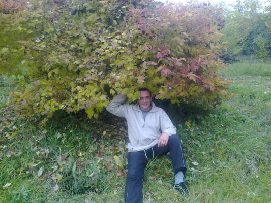  ,   Kocha3205, 45 ,   