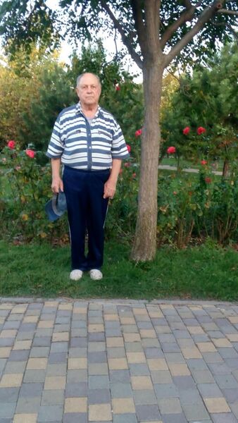 ,   , 83 ,   c 