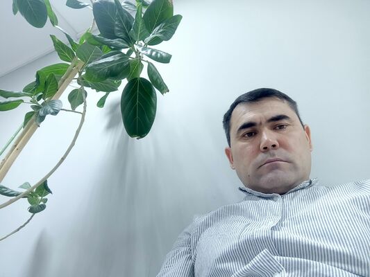  ,   , 43 ,   ,   