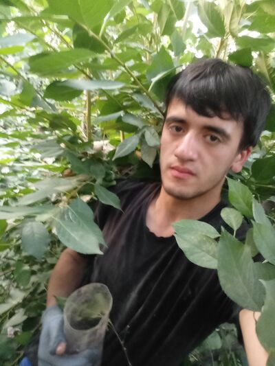  -,   , 20 ,   ,   