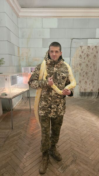  ,    , 31 ,   
