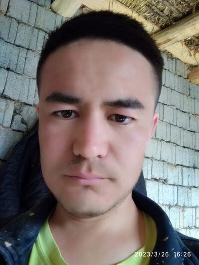  ,   Temur, 29 ,   ,   , c 