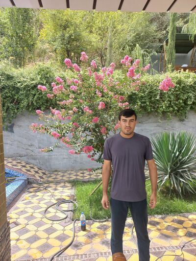  -,   , 26 ,   ,   