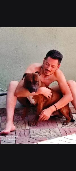  ,   Ilkin, 36 ,   ,   