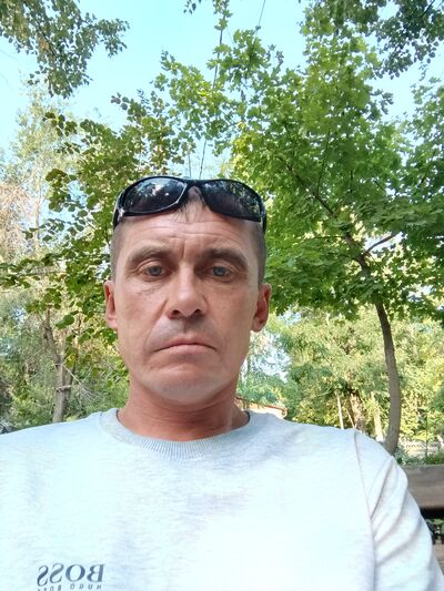 -,   , 41 ,  
