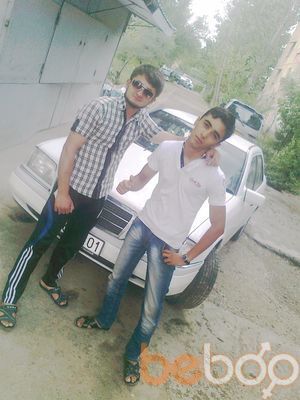  3842991  , 30 ,    