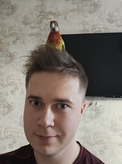  ,   , 28 ,   ,   , c 