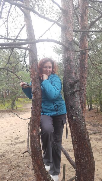  -,   , 50 ,     , c 