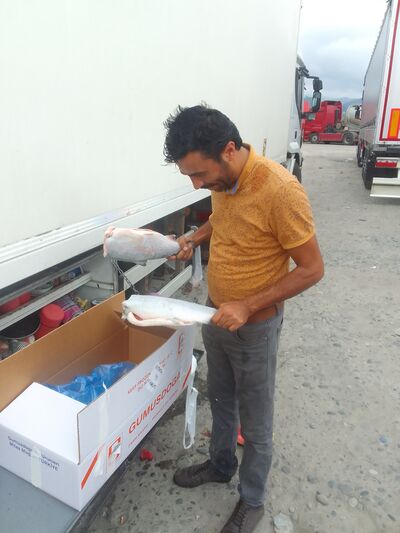  ,   Mahmut, 37 ,   ,   