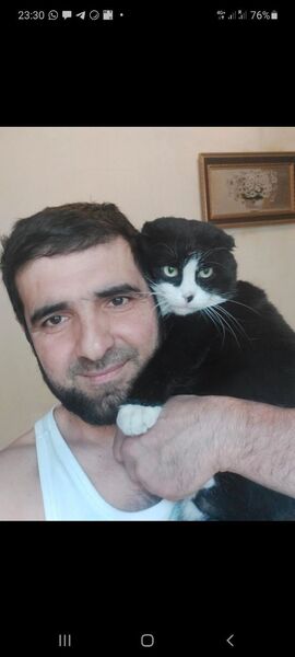  ,   , 43 ,   ,   