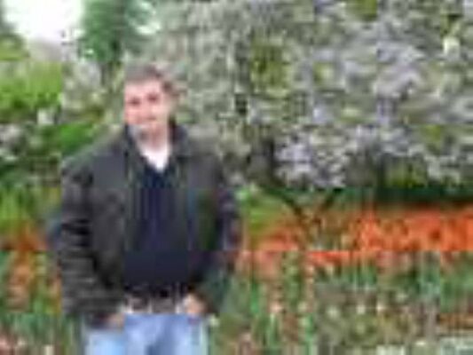  ,   , 54 ,   