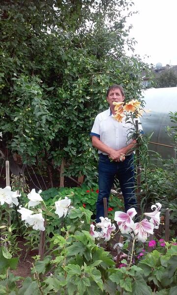  ,   , 70 ,   ,   , c 