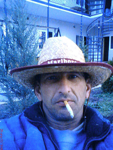  ,   , 51 ,   ,   