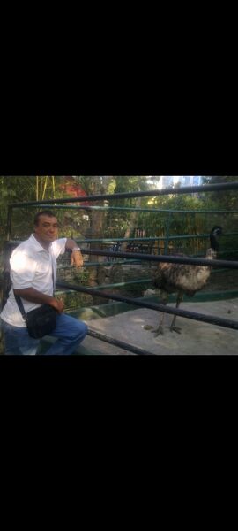  ,   , 52 ,     