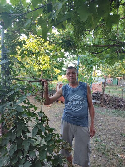  ,   , 56 ,     , c 
