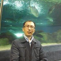  11931221  Zhalgas, 41 ,    