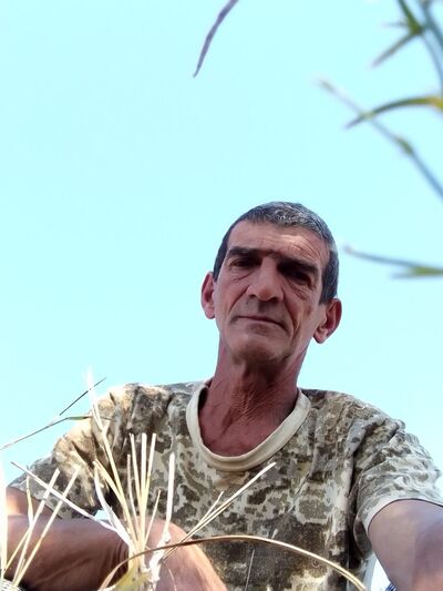  ,   , 55 ,   ,   