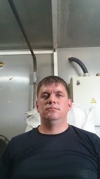  7954231  , 38 ,    