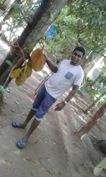  ,   Rossan, 34 ,   