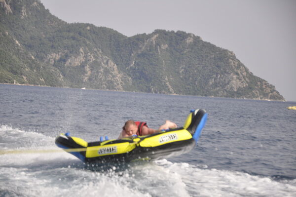  ,   Dimotei79j, 46 ,   