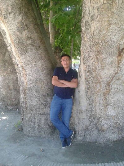  -,   , 38 ,   ,   , c 