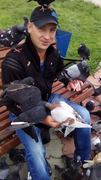  ,   Dimon, 38 ,   ,   , c 