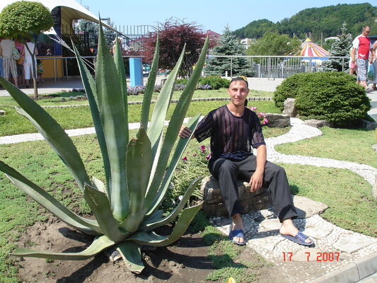  ,   , 43 ,   