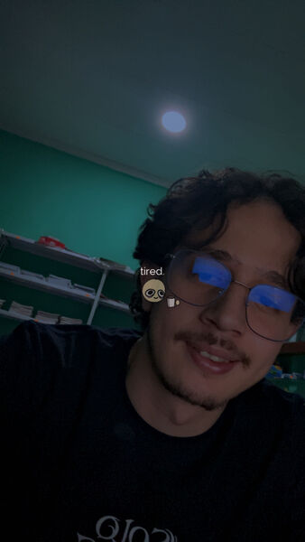 ,   Lotfi, 24 ,   ,   