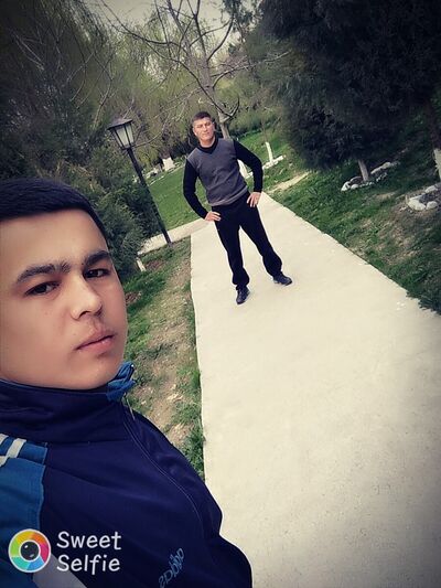  ,   Shoxrux, 33 ,   ,   , c 