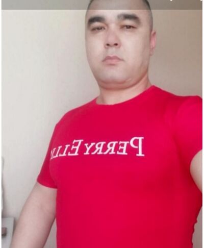  ,   UMED, 41 ,   ,   