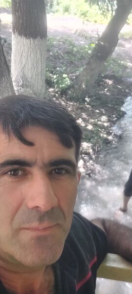  -,   , 44 ,   ,   