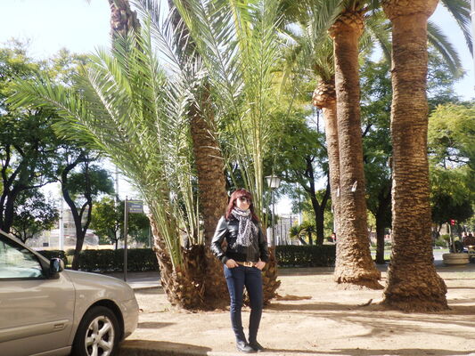  Sevilla,   , 36 ,  