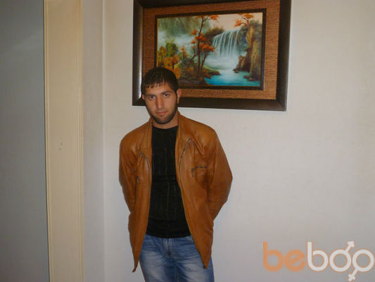  2286531  ART, 82 ,    