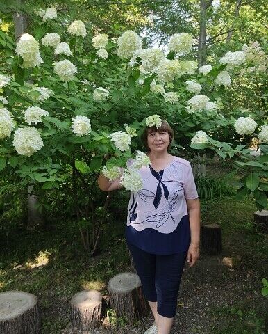  48618861  , 68 ,    -