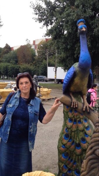  ,   , 58 ,   ,   , c 