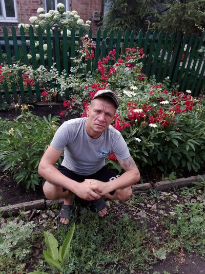  ,   , 41 ,     , c , 