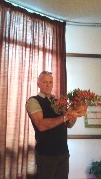  Palma,   Vankata196, 61 ,  