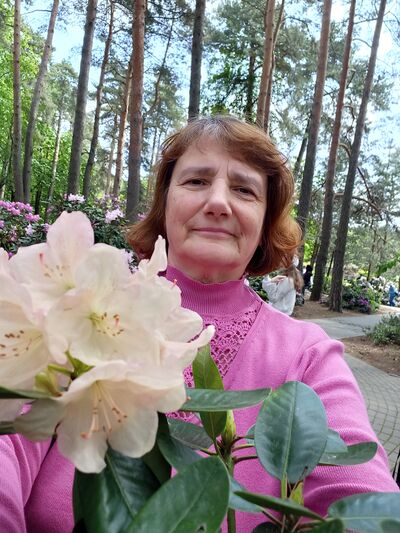  ,   , 66 ,   ,   