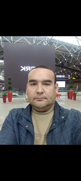  -,   , 38 ,   ,   