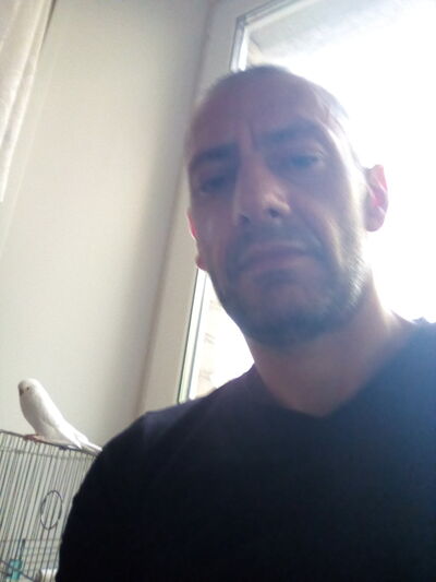  ,   , 42 ,   ,   