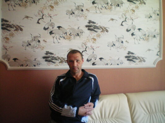  ,   , 50 ,     , c 