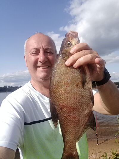  ,   , 51 ,   ,   
