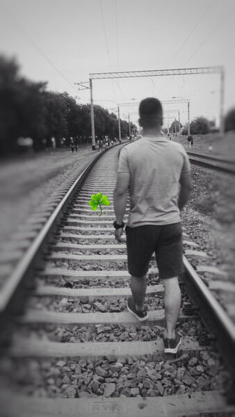  ,   Shoxrux, 31 ,   ,   , c 