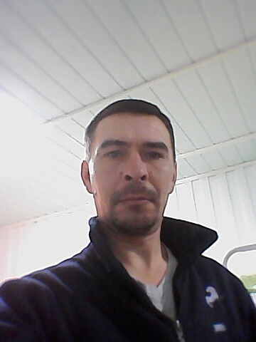  ,   , 53 ,   