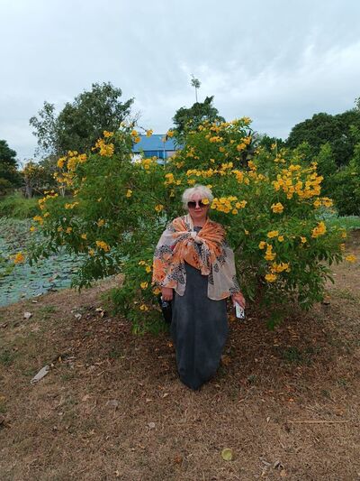  ,   , 55 ,   ,   