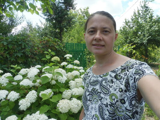  ,   , 39 ,   c , 
