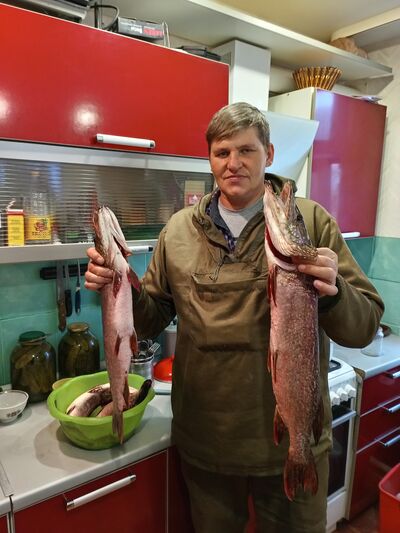  -,   , 51 ,   ,   , c , 