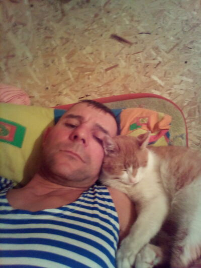  -,   , 46 ,   ,   , c 