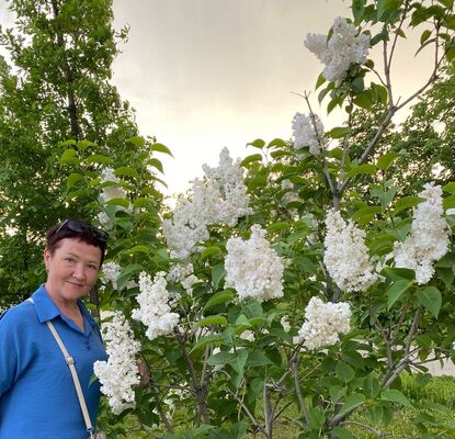  ,   , 61 ,   ,   , 